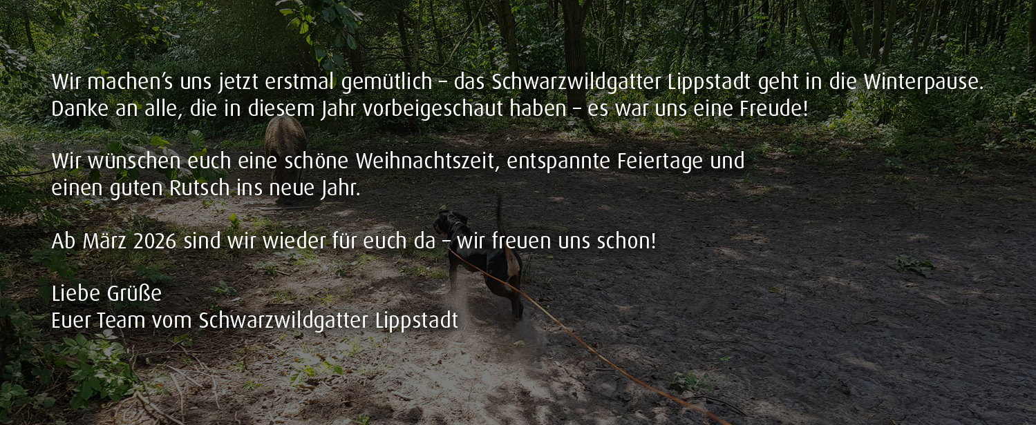 Schwarzwildgatter Lippstadt gGmbH